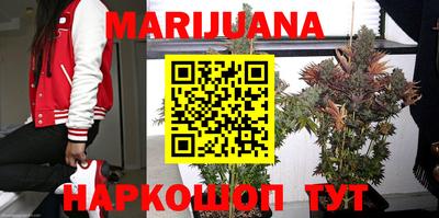мяу мяу мука Новокубанск