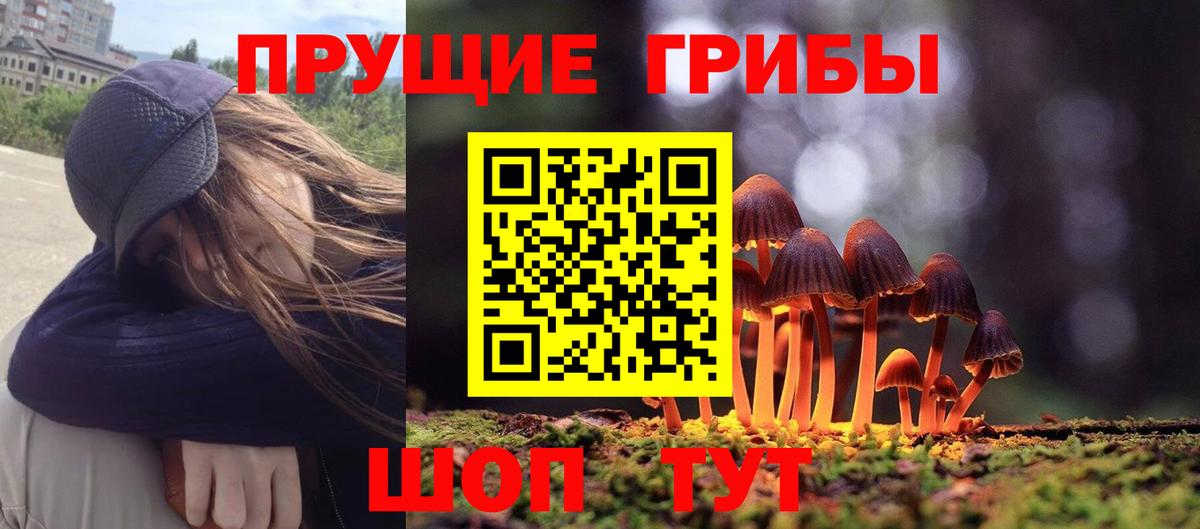 где можно купить   Вход с VPN  Галлюциногенные грибы GOLDEN TEACHER  Троицк  Галлюциногенные грибы GOLDEN TEACHER 